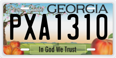 GA license plate PXA1310