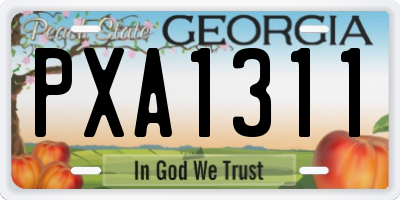 GA license plate PXA1311