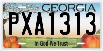 GA license plate PXA1313