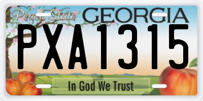 GA license plate PXA1315