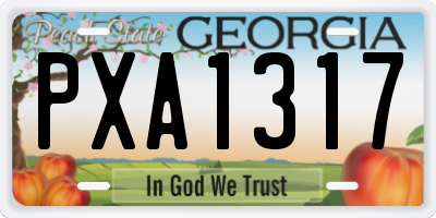 GA license plate PXA1317