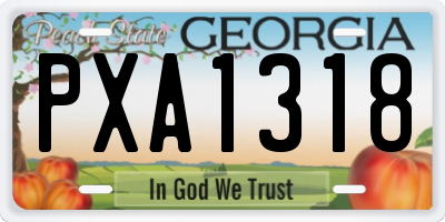 GA license plate PXA1318