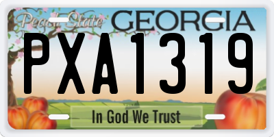 GA license plate PXA1319