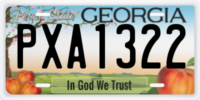 GA license plate PXA1322
