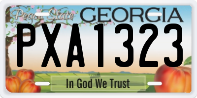 GA license plate PXA1323