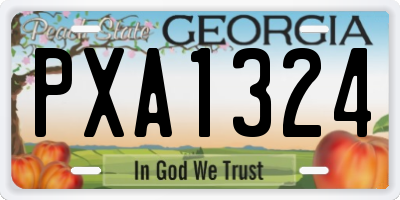 GA license plate PXA1324