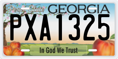 GA license plate PXA1325