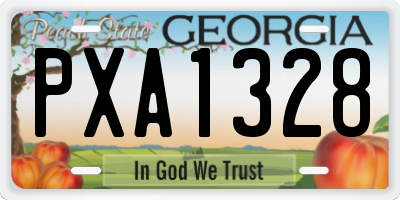 GA license plate PXA1328