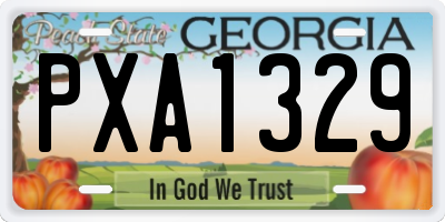 GA license plate PXA1329