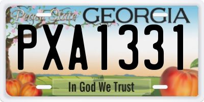 GA license plate PXA1331