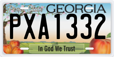 GA license plate PXA1332