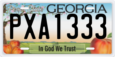 GA license plate PXA1333