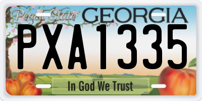 GA license plate PXA1335