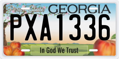GA license plate PXA1336