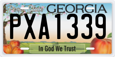 GA license plate PXA1339