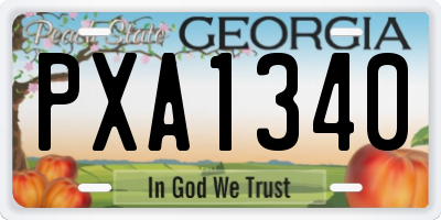 GA license plate PXA1340