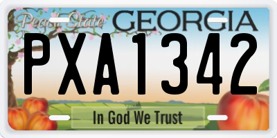 GA license plate PXA1342