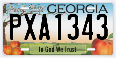 GA license plate PXA1343