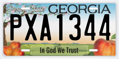 GA license plate PXA1344