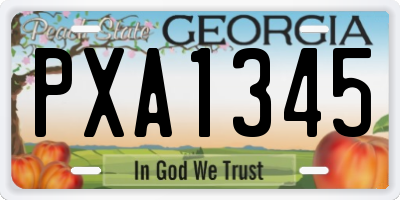 GA license plate PXA1345