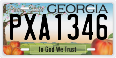 GA license plate PXA1346