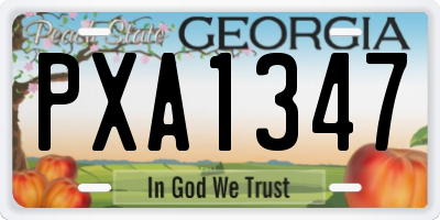 GA license plate PXA1347