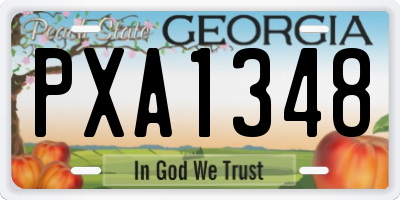 GA license plate PXA1348