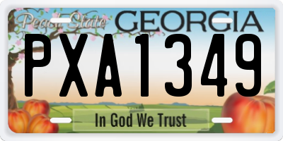 GA license plate PXA1349