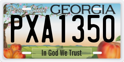 GA license plate PXA1350