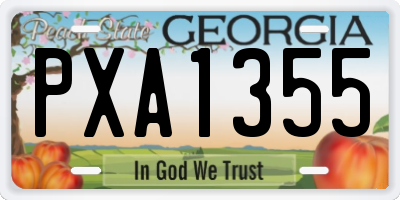 GA license plate PXA1355