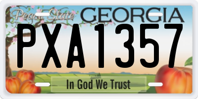 GA license plate PXA1357