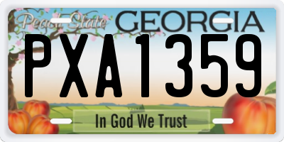 GA license plate PXA1359