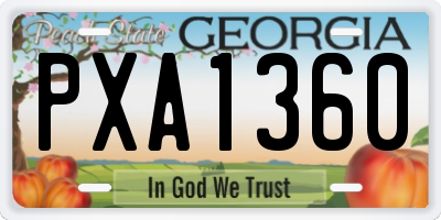 GA license plate PXA1360