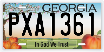 GA license plate PXA1361