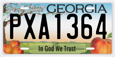 GA license plate PXA1364