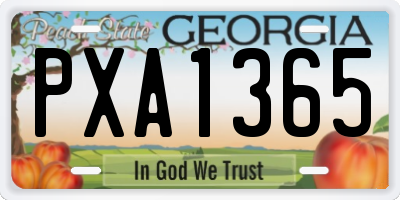 GA license plate PXA1365
