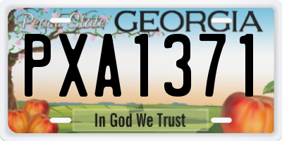 GA license plate PXA1371