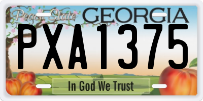 GA license plate PXA1375