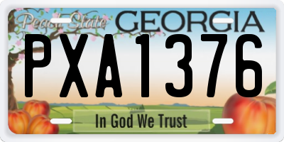 GA license plate PXA1376