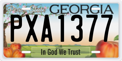 GA license plate PXA1377