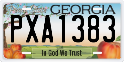 GA license plate PXA1383