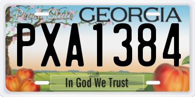 GA license plate PXA1384