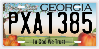 GA license plate PXA1385