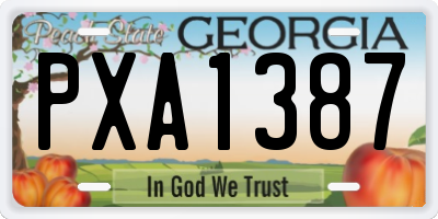 GA license plate PXA1387
