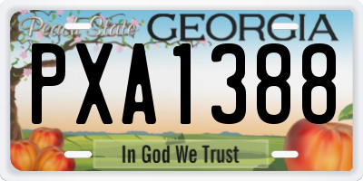 GA license plate PXA1388