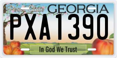 GA license plate PXA1390