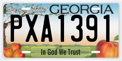 GA license plate PXA1391
