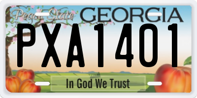 GA license plate PXA1401