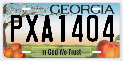 GA license plate PXA1404