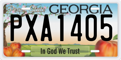 GA license plate PXA1405
